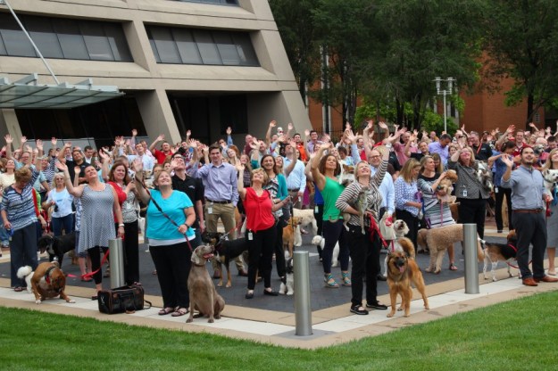 Safely drone document your live events.